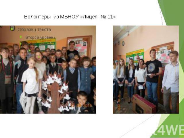 Волонтеры из МБНОУ «Лицея № 11»