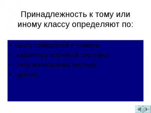 Принадлежность к тому или иному классу определяют по:числу семядолей в семени; х