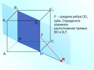 F - средина ребра DD1 куба. Определите взаимное расположение прямых BD и B1F.