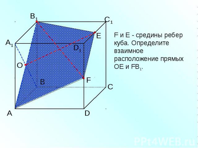 F и Е - средины ребер куба. Определите взаимное расположение прямых ОЕ и FВ1.