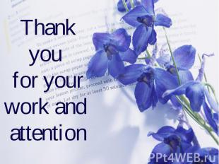 Thank you for your work and attention