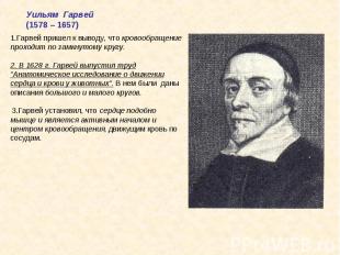 Уильям Гарвей(1578 – 1657)1.Гарвей пришел к выводу, что кровообращение проходит