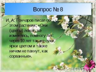 Вопрос № 8И. А. Гончаров писал об этом растении: «Они (цветы) лежат, не изменяяс