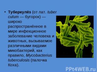 Туберкулёз (от лат. tuberculum — бугорок) — широко распространённое в мире инфек