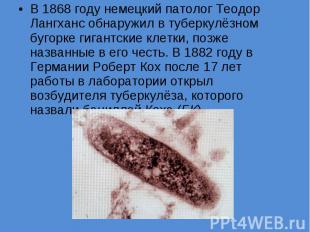 В 1868 году немецкий патолог Теодор Лангханс обнаружил в туберкулёзном бугорке г