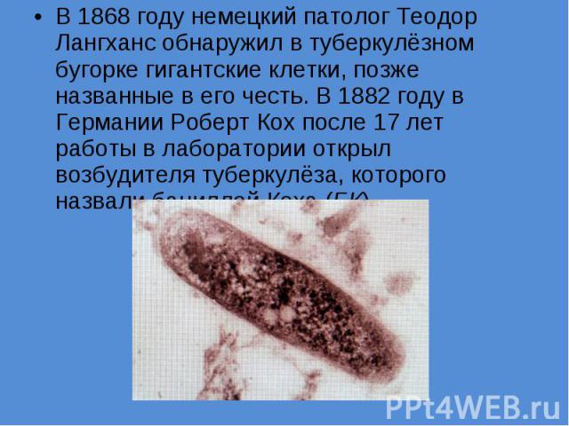 В 1868 году немецкий патолог Теодор Лангханс обнаружил в туберкулёзном бугорке гигантские клетки, позже названные в его честь. В 1882 году в Германии Роберт Кох после 17 лет работы в лаборатории открыл возбудителя туберкулёза, которого назвали бацил…