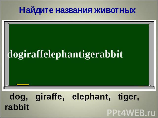 Найдите названия животныхdogiraffelephantigerabbit dog, giraffe, elephant, tiger, rabbit