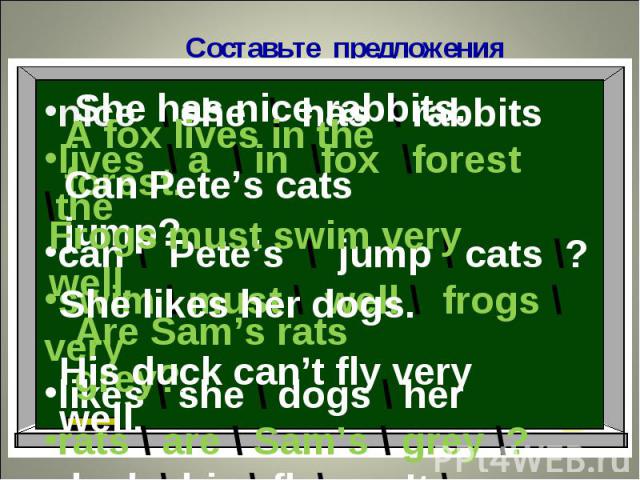 Составьте предложенияShe has nice rabbits.A fox lives in the forest.Can Pete’s cats jump?Frogs must swim very well.She likes her dogs.Are Sam’s rats grey?.His duck can’t fly very well.
