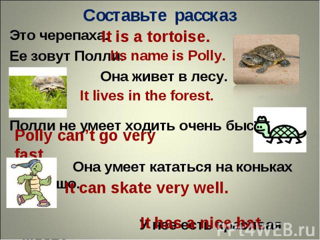 Составьте рассказЭто черепаха. Ее зовут Полли. Она живет в лесу.Полли не умеет ходить очень быстро. Она умеет кататься на коньках хорошо. У нее есть красивая шляпа.