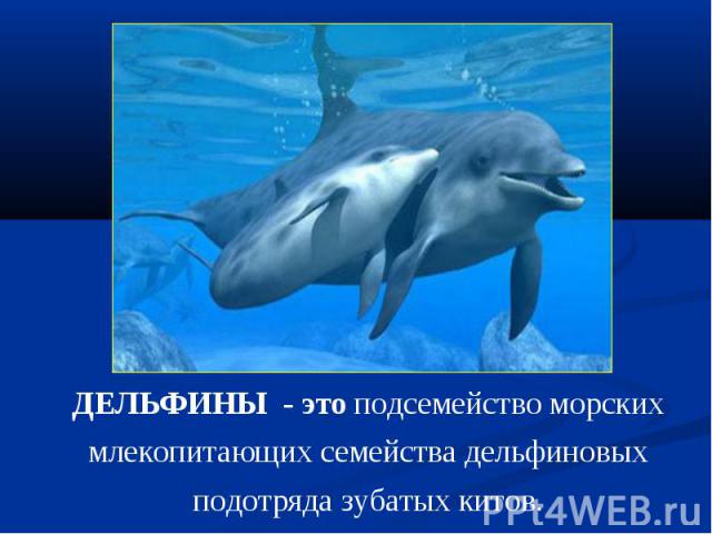 ДЕЛЬФИНЫ - это подсемейство морских млекопитающих семейства дельфиновых подотряда зубатых китов.