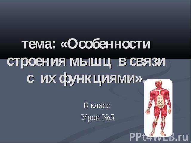тема: «Особенности строения мышц в связи с их функциями». 8 класс Урок №5
