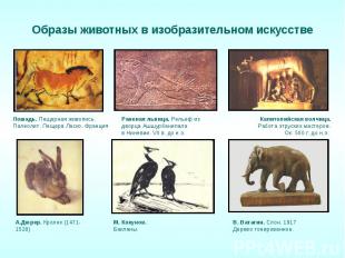 Образы животных в изобразительном искусствеЛошадь. Пещерная живопись. Палеолит.