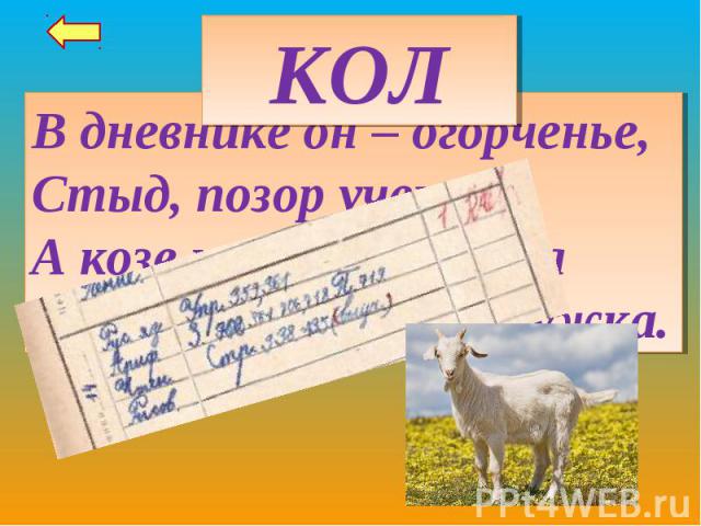 КОЛВ дневнике он – огорченье,Стыд, позор ученика,А козе на приключеньяНе дает сбежать с лужка.