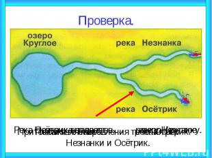 Проверка.Покажите направления течения рек Незнанки и Осётрик.