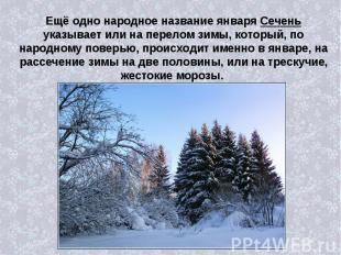Ещё одно народное название января Сечень указывает или на перелом зимы, который,