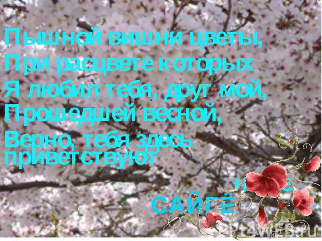 Пышной вишни цветы,При расцвете которыхЯ любил тебя, друг мой,Прошедшей весной,Верно, тебя здесь приветствуют ныне.