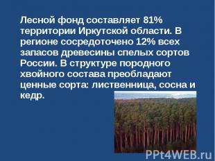 Лесной фонд составляет 81% территории Иркутской области. В регионе сосредоточено