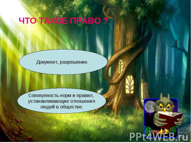 ЧТО ТАКОЕ ПРАВО ?Документ, разрешение. Совокупность норм и правил, устанавливающие отношения людей в обществе.