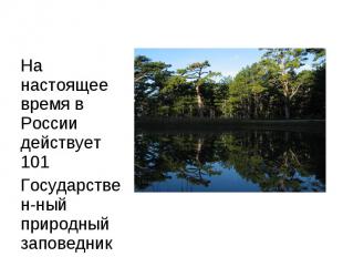 На настоящее время в России действует 101Государствен-ный природный заповедник 