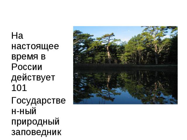 На настоящее время в России действует 101Государствен-ный природный заповедник 