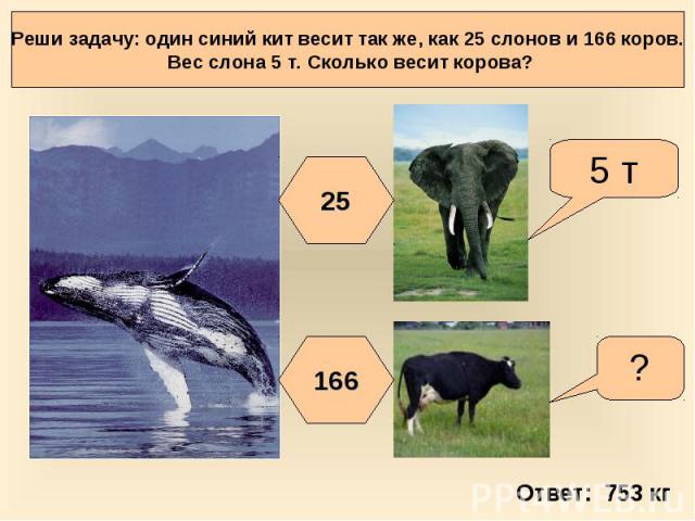 Реши задачу: один синий кит весит так же, как 25 слонов и 166 коров. Вес слона 5 т. Сколько весит корова?