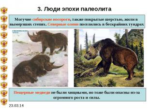 3. Люди эпохи палеолитаМогучие сибирские носороги, также покрытые шерстью, жили