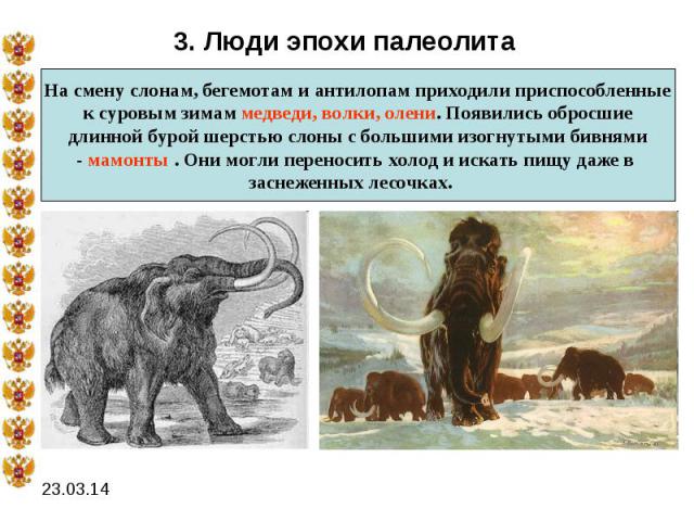 3. Люди эпохи палеолитаНа смену слонам, бегемотам и антилопам приходили приспособленныек суровым зимам медведи, волки, олени. Появились обросшиедлинной бурой шерстью слоны с большими изогнутыми бивнями- мамонты . Они могли переносить холод и искать …