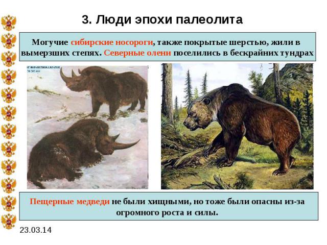 3. Люди эпохи палеолитаМогучие сибирские носороги, также покрытые шерстью, жили в вымерзших степях. Северные олени поселились в бескрайних тундрахПещерные медведи не были хищными, но тоже были опасны из-за огромного роста и силы.