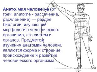 Анатомия человека (от греч. anatome - рассечение, расчленение) — раздел биологии