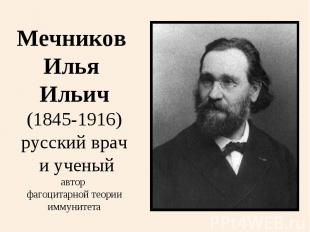 Мечников Илья Ильич(1845-1916)русский врач и ученыйавтор фагоцитарной теорииимму
