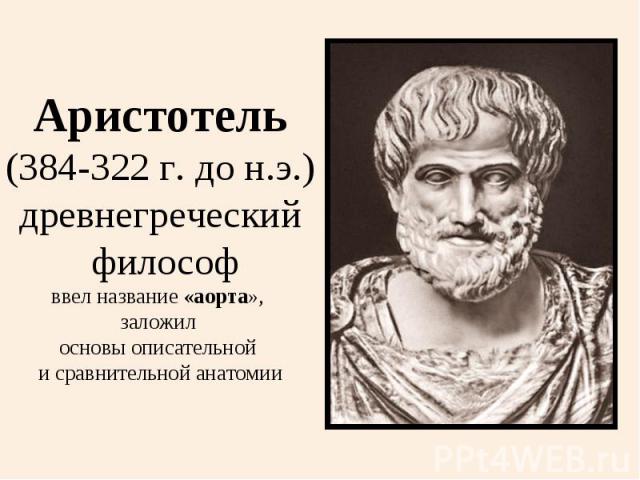 Аристотель(384-322 г. до н.э.)древнегреческий философввел название «аорта», заложил основы описательной и сравнительной анатомии