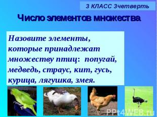 Число элементов множества Назовите элементы, которые принадлежат множеству птиц: