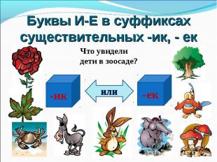 Буквы И-Е в суффиксах существительных -ик, - екЧто увидели дети в зоосаде?