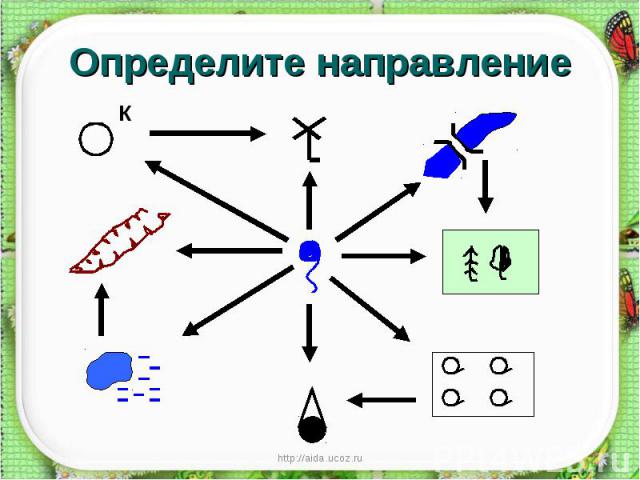 Определите направление