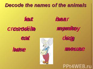 Decode the names of the animals
