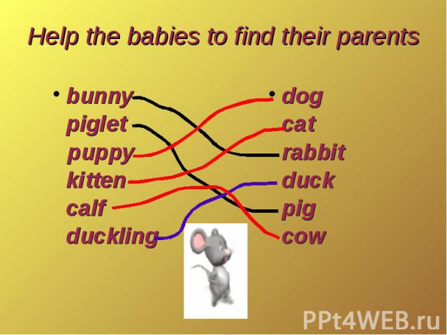 Help the babies to find their parentsbunnypigletpuppy kitten calf duckling dog cat rabbit duck pig cow