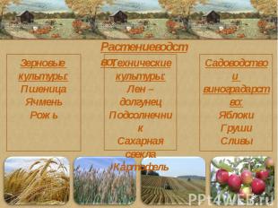 Растениеводство:Зерновые культуры:ПшеницаЯчменьРожьТехническиекультуры:Лен – дол