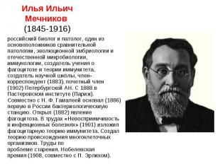Илья Ильич Мечников (1845-1916)российский биолог и патолог, один из основоположн