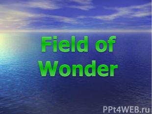 Field of Wonder
