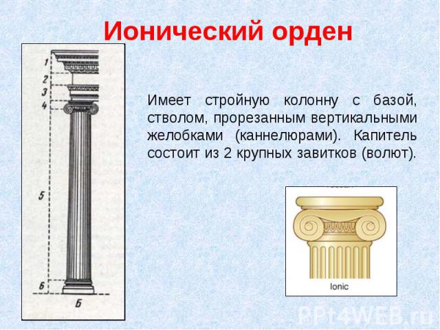Ионический орденИмеет стройную колонну с базой, стволом, прорезанным вертикальными желобками (каннелюрами). Капитель состоит из 2 крупных завитков (волют).