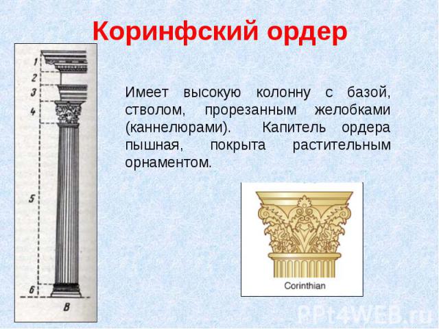 Коринфский ордерИмеет высокую колонну с базой, стволом, прорезанным желобками (каннелюрами). Капитель ордера пышная, покрыта растительным орнаментом.