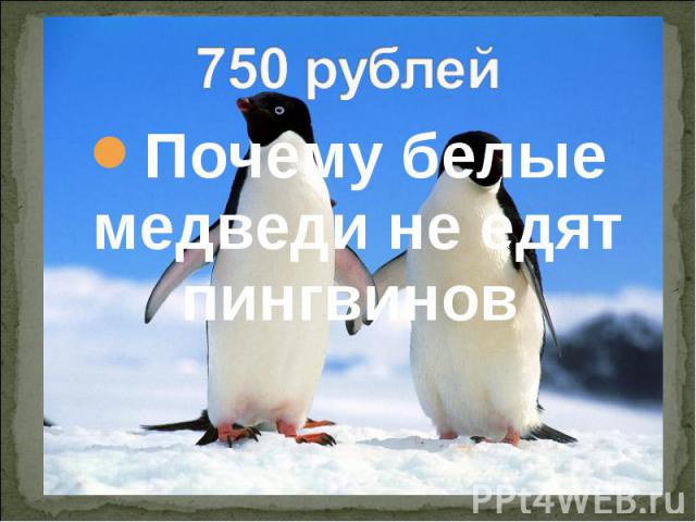 750 рублей Почему белые медведи не едят пингвинов