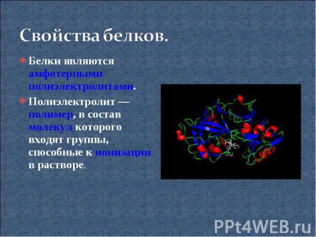 Свойства белков.Белки являются амфотерными полиэлектролитами.Полиэлектролит — полимер, в состав молекул которого входят группы, способные к ионизации в растворе.