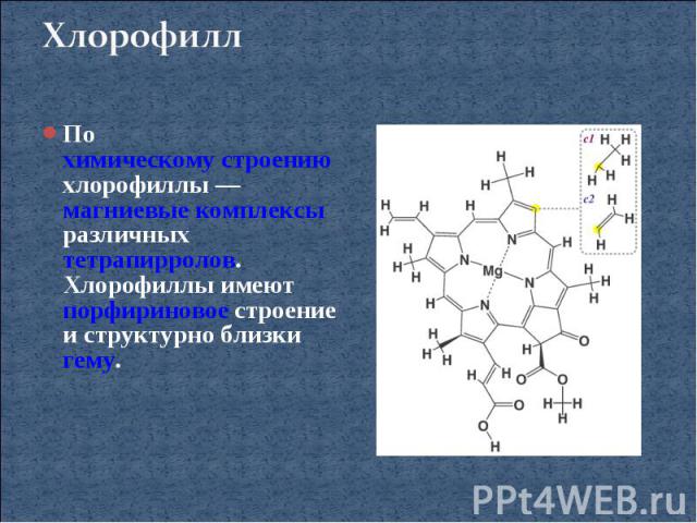 ХлорофиллПо химическому строению хлорофиллы — магниевые комплексы различных тетрапирролов. Хлорофиллы имеют порфириновое строение и структурно близки гему.