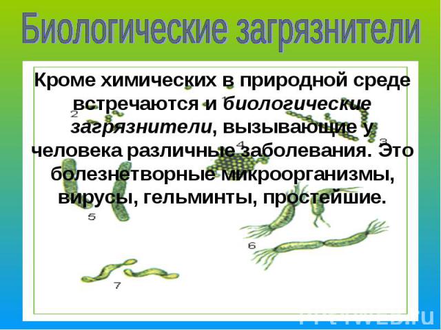 Биологические загрязнителиКроме химических в природной среде встречаются и биологические загрязнители, вызывающие у человека различные заболевания. Это болезнетворные микроорганизмы, вирусы, гельминты, простейшие.