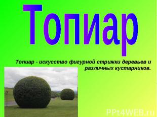 ТопиарТопиар - искусство фигурной стрижки деревьев и различных кустарников.