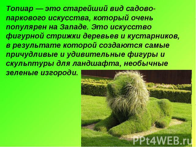 Топиар — это старейший вид садово-паркового искусства, который очень популярен на Западе. Это искусство фигурной стрижки деревьев и кустарников, в результате которой создаются самые причудливые и удивительные фигуры и скульптуры для ландшафта, необы…