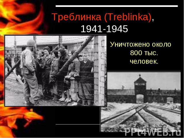 Треблинка (Treblinka), 1941-1945Уничтожено около 800 тыс. человек.