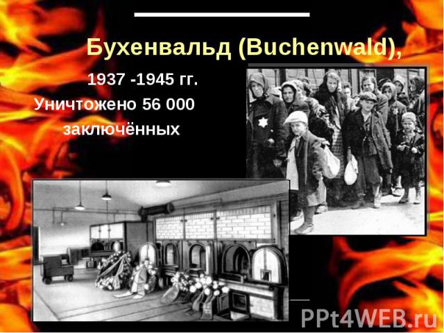 Бухенвальд (Buchenwald), 1937 -1945 гг.Уничтожено 56 000 заключённых
