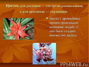 Цветок для растения — это орган размножения, а для цветовода — украшение. Цветы